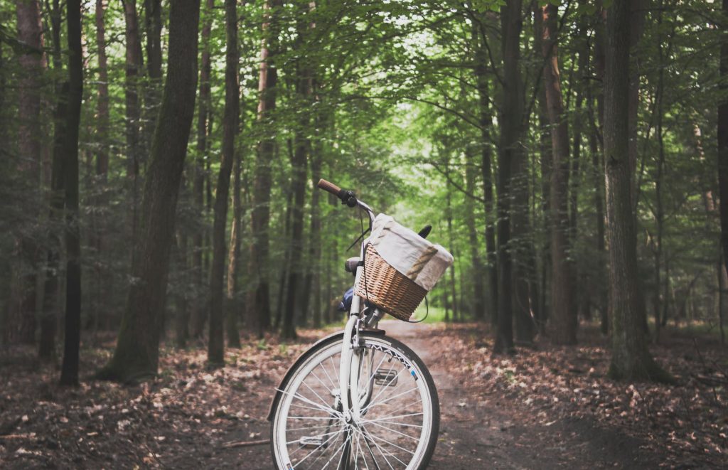 city bicycle in the middle of forest trail