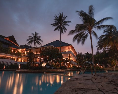 palm trees at night