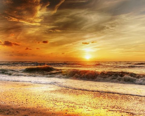 Iets anders doen op zonvakantie dan op het strand liggen