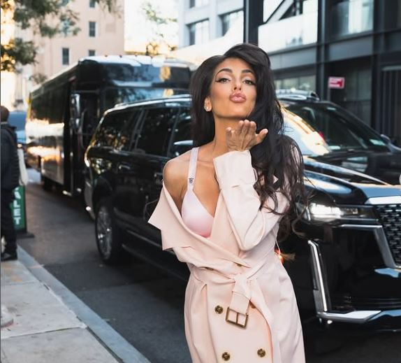 Wie is de vriend van modeblogger Anna Nooshin